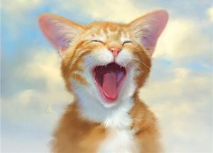 ������� �������� � ��������